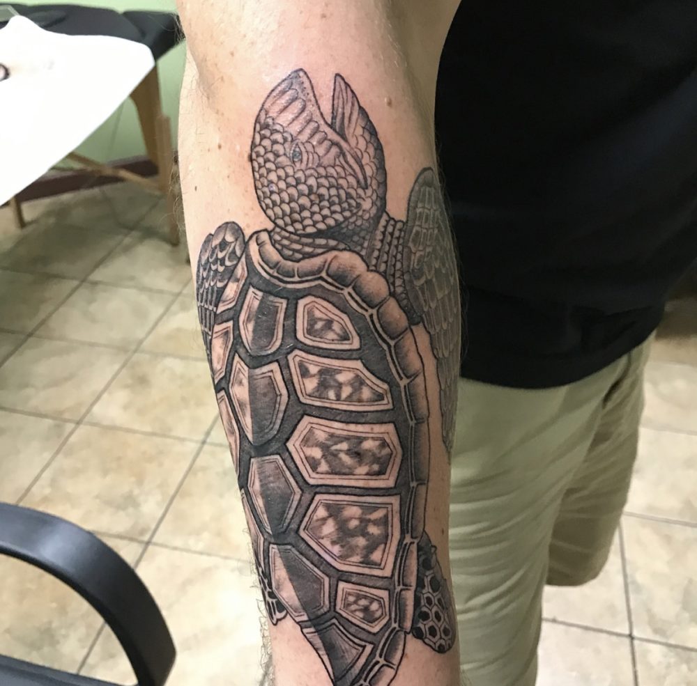 Turtle tattoo.