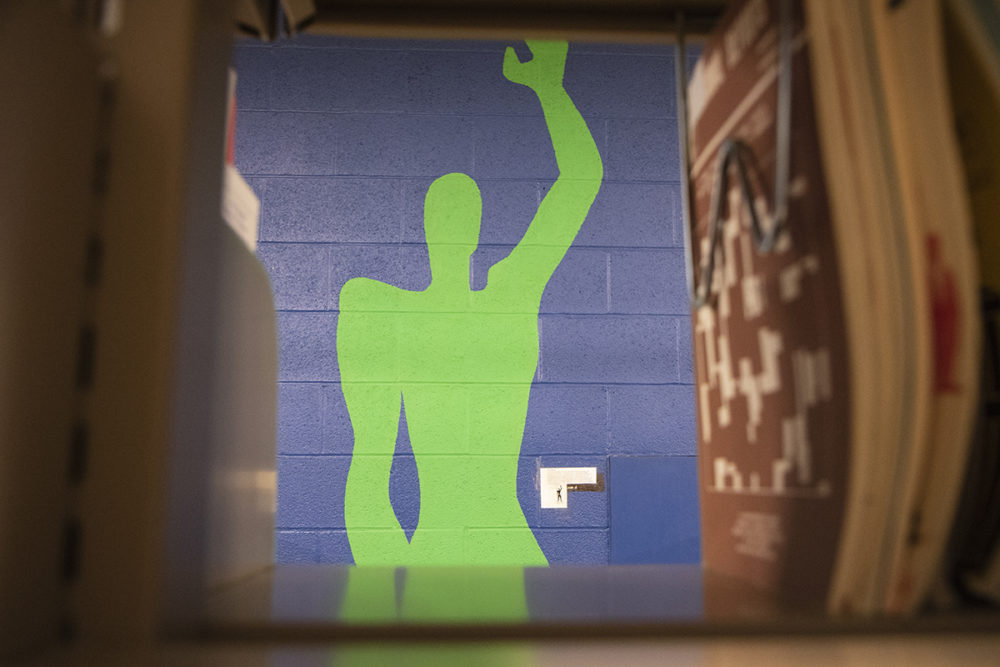 The Green Man mural, painted on the wall in Wilson Library, as glimpsed by looking through the stacks..