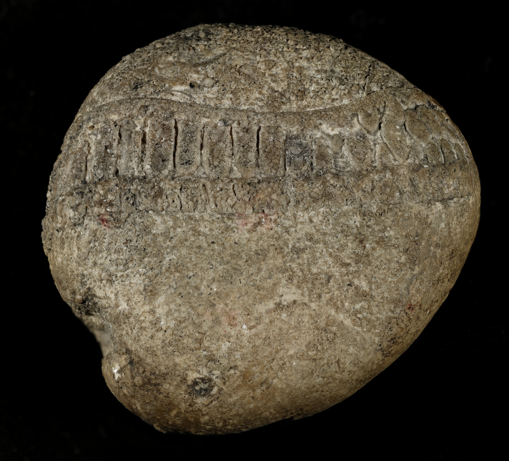 High resolution composite macro image of the stone created in 2020. Photographer: Samantha Porter.