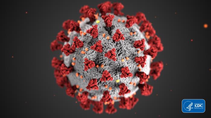 COVID-19 Virus