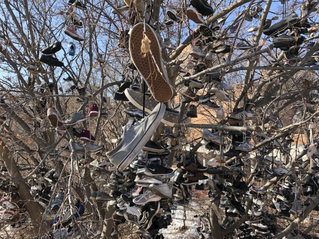 Hundreds of shoes hang from the branches of a tree.