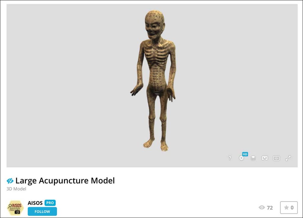 Acupuncture Model