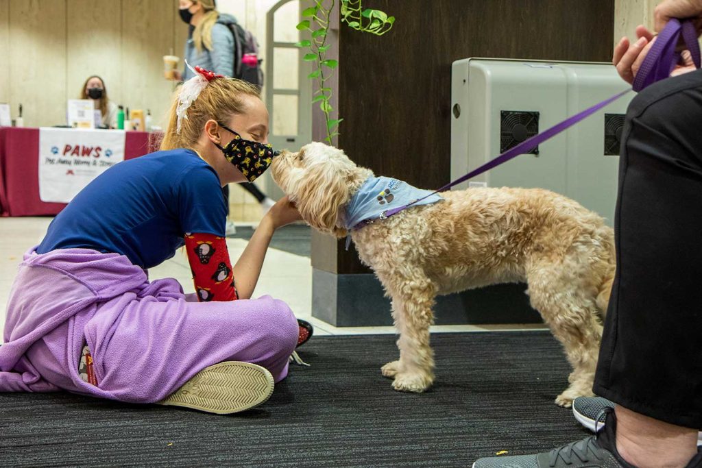 PAWS student touching nose with dog