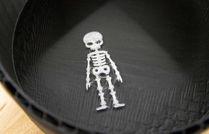skeleton A skeleton printed in the Health Sciences Library Makerspace.