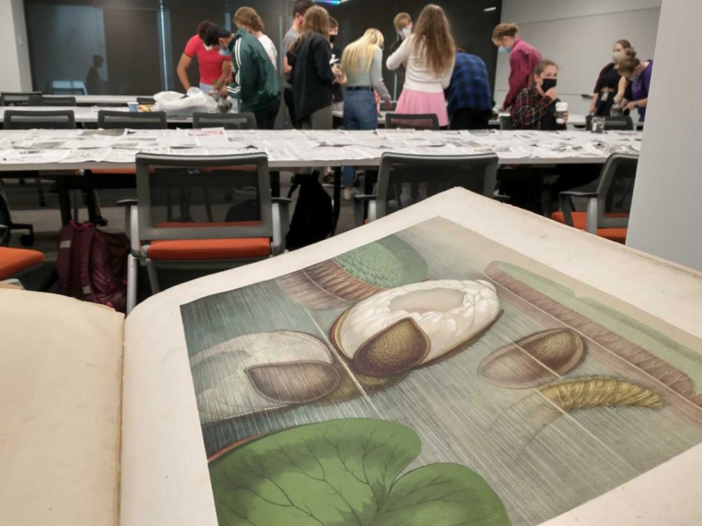 Students examining rare books