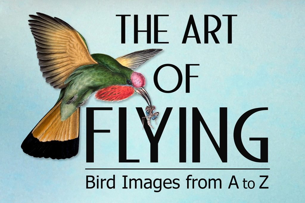 The Art of Flying exhibit poster