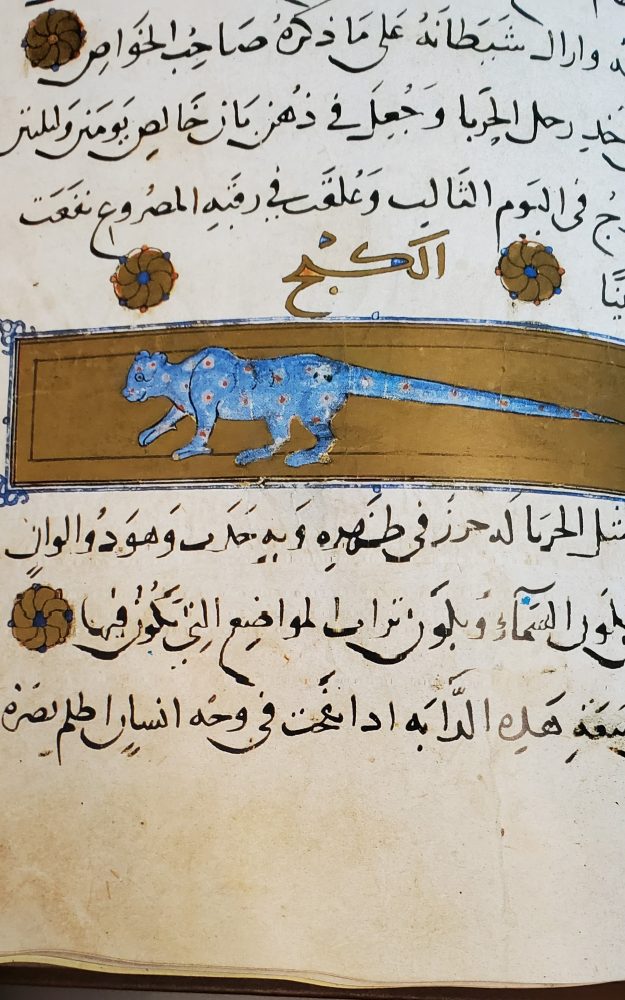 Manuscript page in Arabic, showing image of blue cat