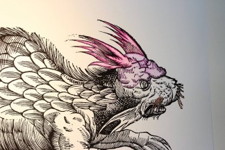 Color our Collections at Wangensteen Historical Library, February 1-5, 2016.