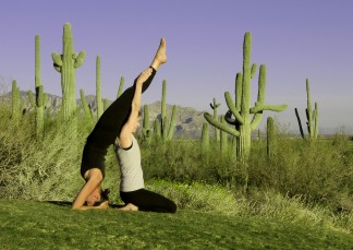 Arizona Head Stand