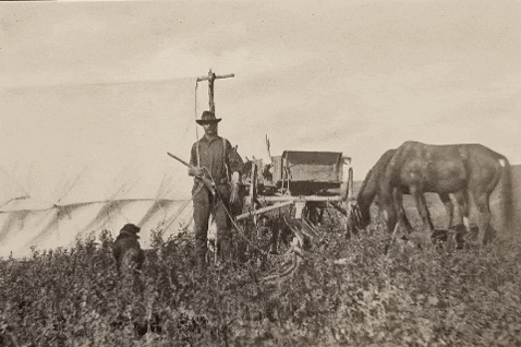 Teddy Roosevelt GIF