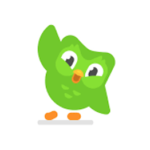 Duolingo icon