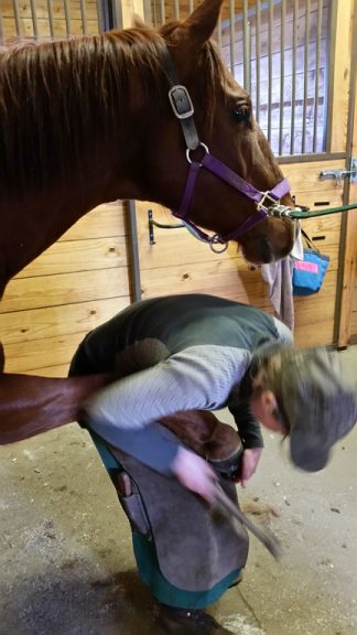 Horse and Farrier