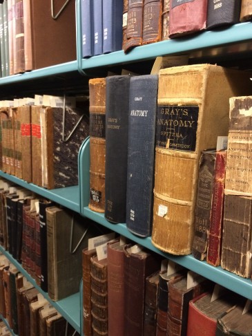Gray's Anatomy Collection