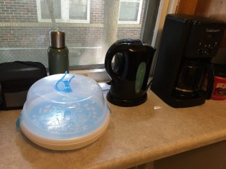 steamer and sanitizer