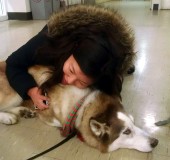 Pet Therapy at the Bio-Medical Library.