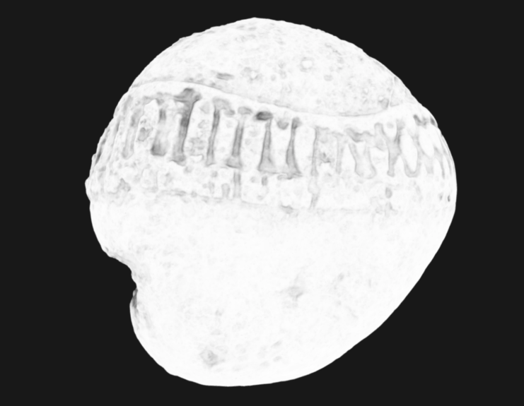 An inverted view of the stone that highlights the contested markings.