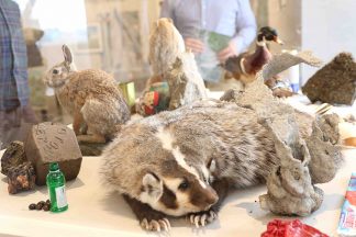 Shoreham exhibit