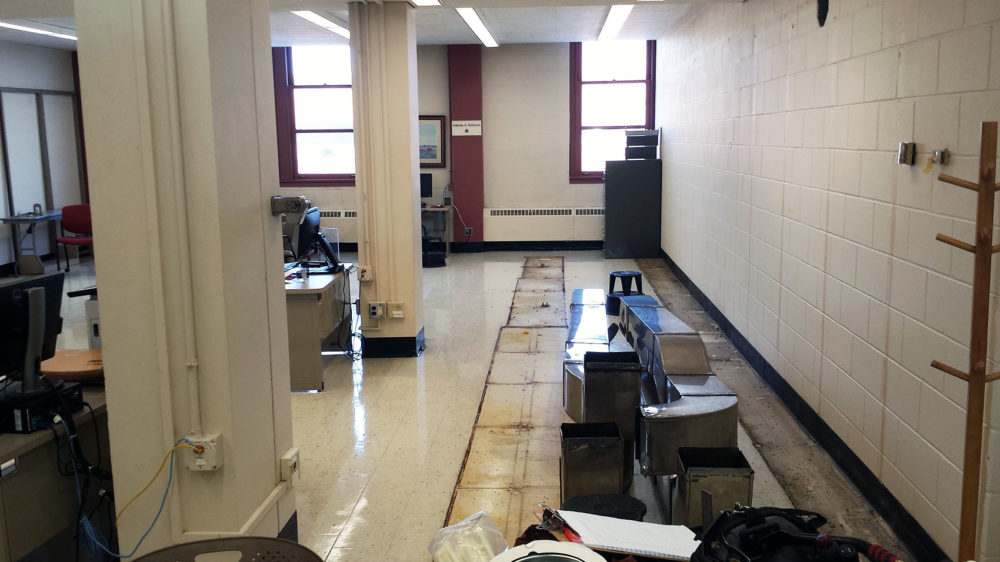 Construction at the Veterinary Medical Library