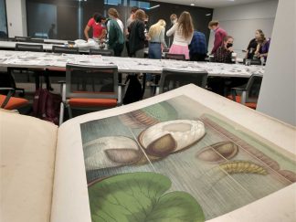 Wangensteen's collection of historical materials provided models for NEXUS students creating terrariums