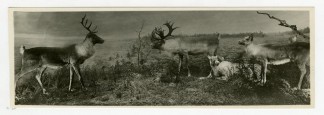uarc00876-box71-fdr3-pg5