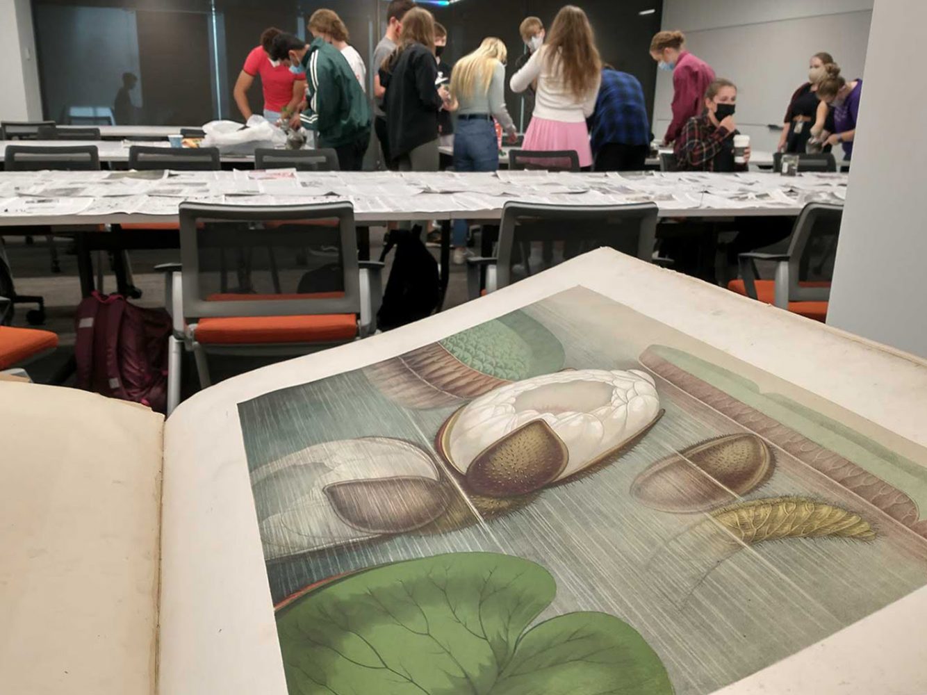 Students examining rare books