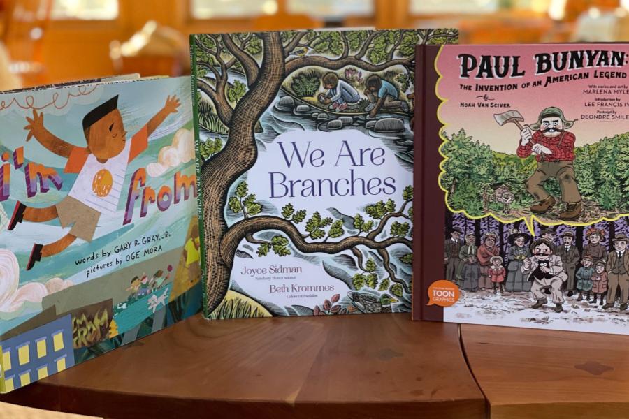 Three children's books displayed.