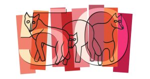 Graywolf 50th Anniversary art featuring the Graywolf logo overlaid with the the number 50 and vertical blocks of color