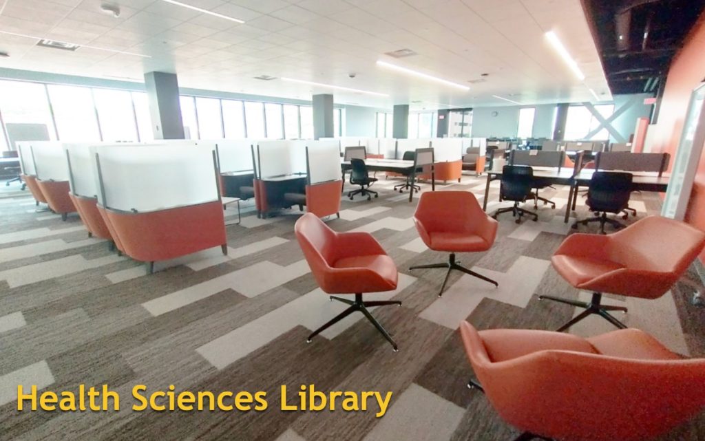 Health Sciences Library quiet study.