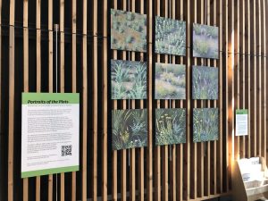 Portraits of Plots exhibit