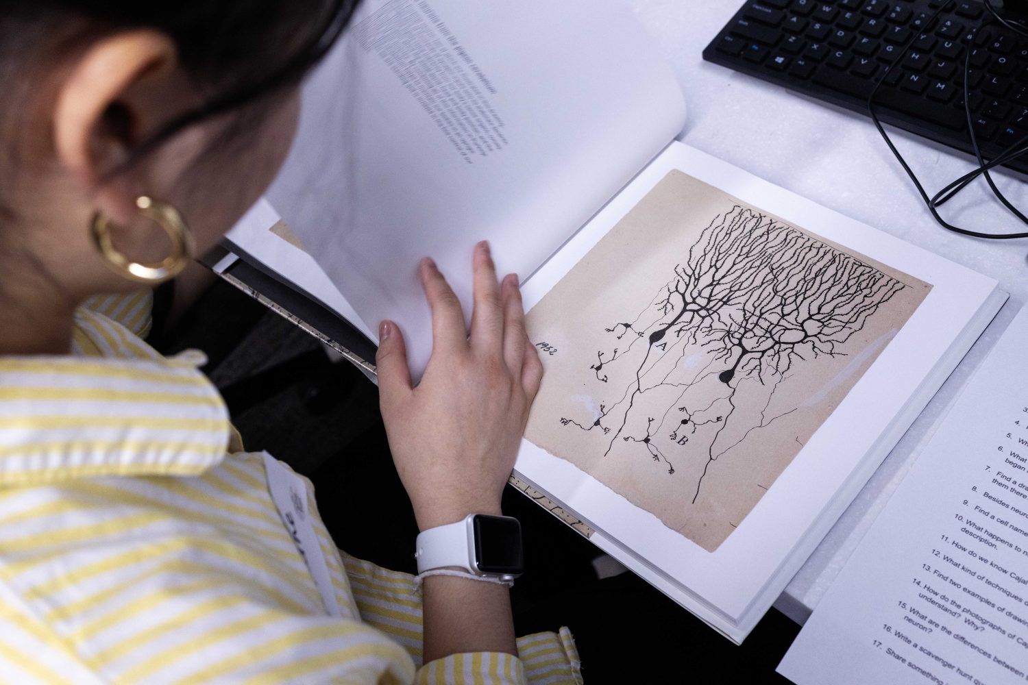 Local Twin City high schoolers interested in neuroscience look at materials from the Wangensteen Historical Library during the week-long Go4Brains program, on Wednesday, July 17, 2024. (Photo/Adria Carpenter)