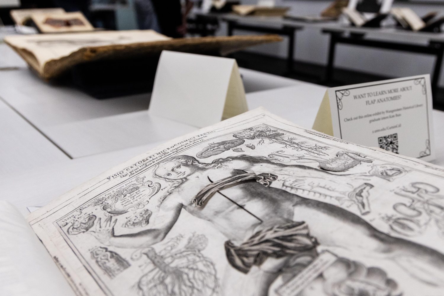 A flap print of human anatomy from materials in the "Disembodied Reembodied" exhibit, on Thursday, October 24, 2024. (Photo/Adria Carpenter)
