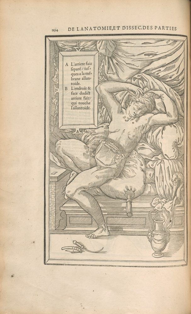 Estienne, C., & La Riviere, Etienne. (1546). De la dissection des parties du corps humain diuisée en trois liures. Courtesy of the Wangensteen Historical Library