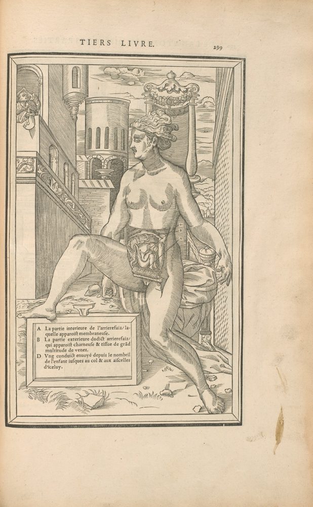 Estienne, C., & La Riviere, Etienne. (1546). De la dissection des parties du corps humain diuisée en trois liures. Courtesy of the Wangensteen Historical Library