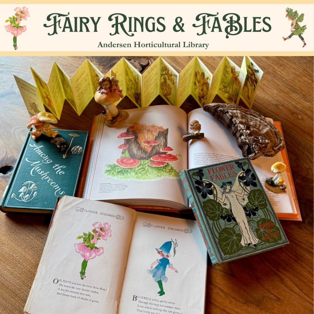 Fairy Rings & Fables exhibit preview image with illustrated books from AHL collections