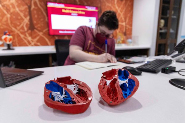 The hand-painted 3D printed heart from VHL is open in two sections, resting on the Health Sciences Libraries service desk.