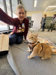 Cat selfie at PAWS