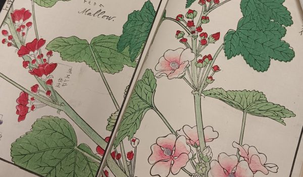 Rare book with green leafy and red and pink floral colored drawings.