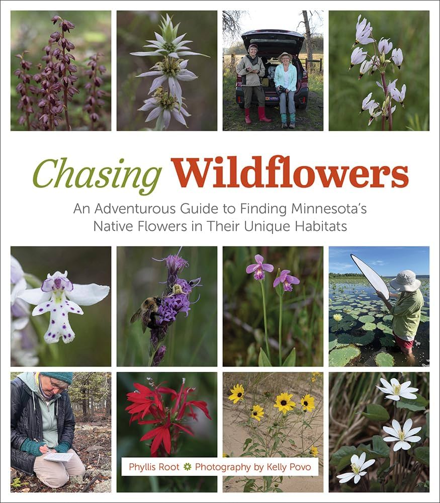 “Chasing Wildflowers: An Adventurous Guide to Finding Minnesota’s Native Flowers in their Unique Habitats” by Phyllis Root and Kelly Povo