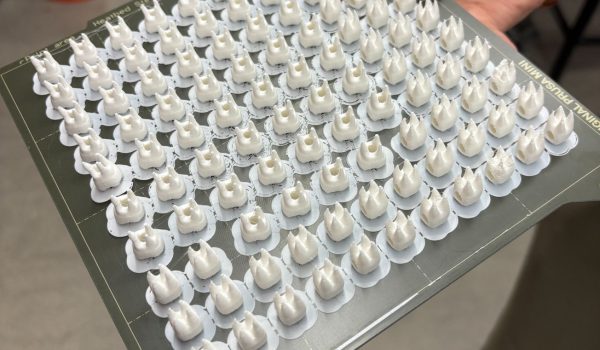 A sheet of 3D printed molar beads on a removable bed of a 3D printer.