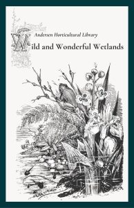 Pen and ink illustration of wetland with frog and flowers