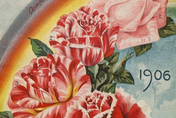 seed catalog cover from 1906