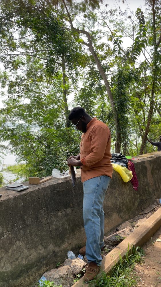 Man handles a fish and mesures it.