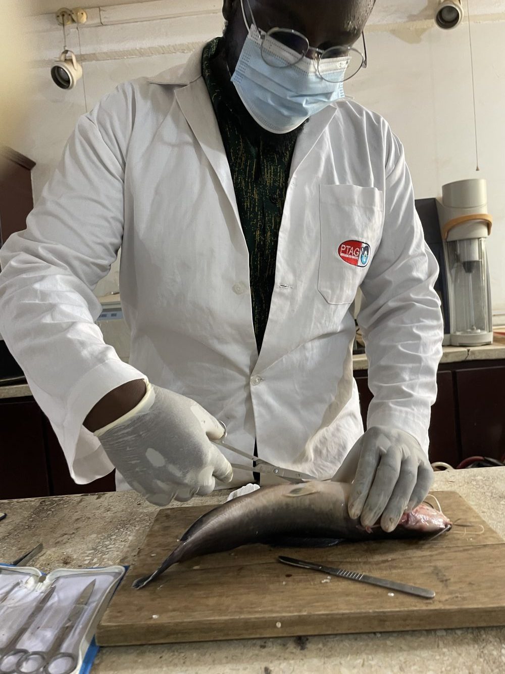 Man in laptop guts a fish.