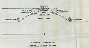 landscape design drawing