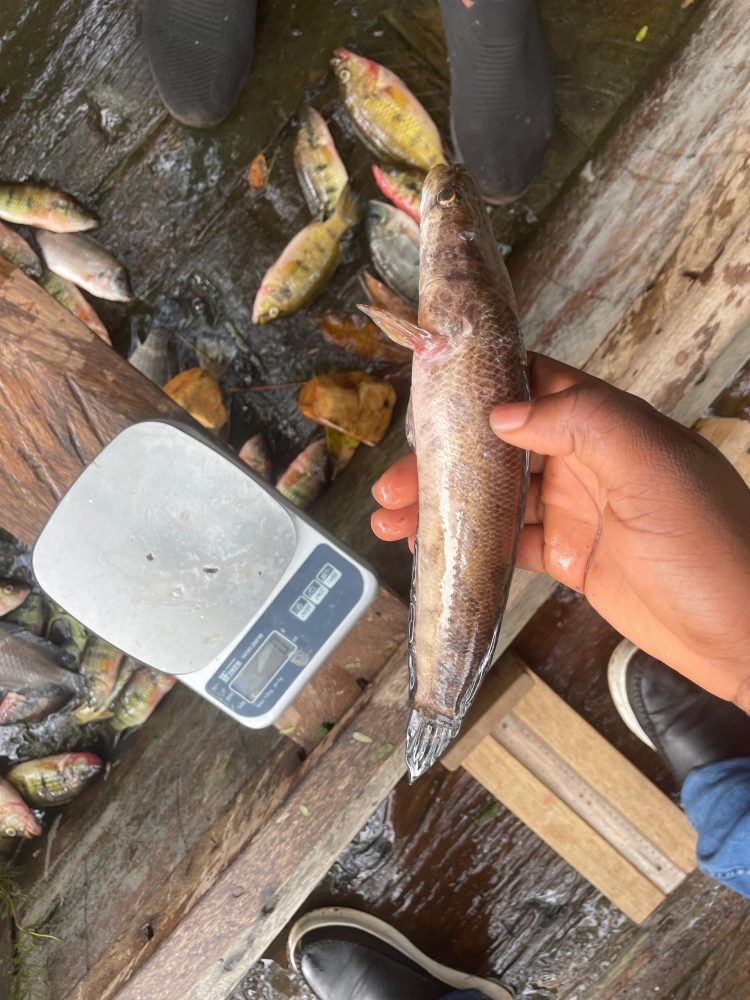 Hand holding fish.